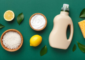 nettoyant menager ecologique